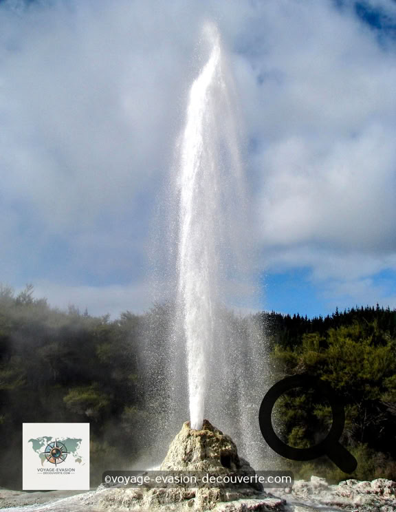Lady Knox Geyser se trouve à 1,2 km du site principal et n'est visible que le matin à 10h15,  car il s'agit d'un geyser dont l'éruption est provoquée par de la lessive ; le geyser se met alors  à cracher de l'eau à 20 m de haut durant plusieurs dizaines de minutes. Le site est libre d'accès  durant le reste de la journée. 