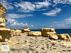 St. Peter's Pool sur l'île de Malte