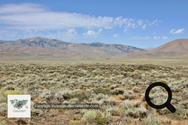 Que faire aux USA ? Nevada