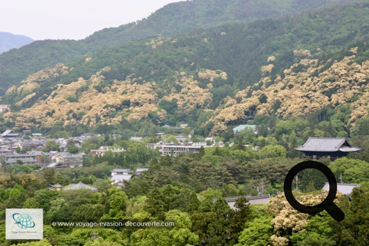 Ancienne capitale impériale du Japon de 794 à 1868 sous le nom de Heian-kyō “Capitale de la paix et de la tranquillité“, elle est aujourd'hui, avec ses palais impériaux, ses milliers de sanctuaires shintô et ses temples bouddhistes, le cœur culturel et religieux du pays.  