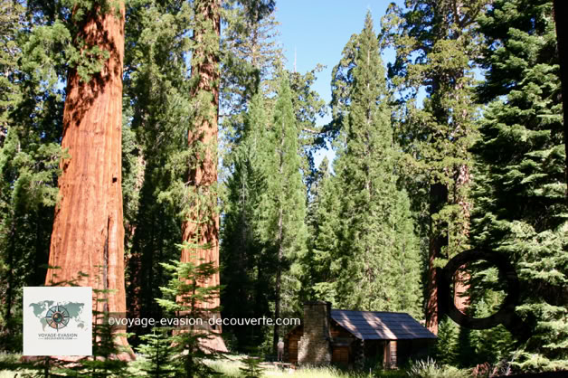 Il comprend 1 635 km² de terrain montagneux boisé, et contient le point culminant des États-Unis contigus, le Mont Whitney, à 4 421 m au-dessus du niveau de la mer. Le  parc est remarquable pour ses séquoias géants, dont l'arbre General Sherman, le plus grand arbre de la Terre, qui pousse dans la Giant Forest, qui contient cinq des dix plus grands arbres du monde. 