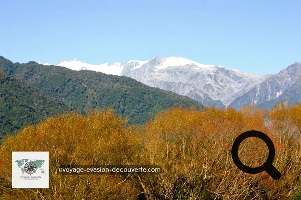 C’est un des quatre parcs du Te Wahipounamu inscrits à l'Unesco. De superbes paysages de montagnes et glaciers comme Franz Josef et Fox Glacier et des possibilités de randonnée ou d'activités sport‑nature. Il y a plus de 60 glaciers dans le parc. Deux d'entre eux le Fox et le Franz Josef sont les seuls glaciers au monde qui s’écoule vers des forêts subtropicales. Le glacier Franz Josef a un espace skiable à haute altitude de  20 km² et le Fox glacier a 32 km² de zones skiables. Également, à sa périphérie, quelques villes minières du temps de la ruée vers l'or.
