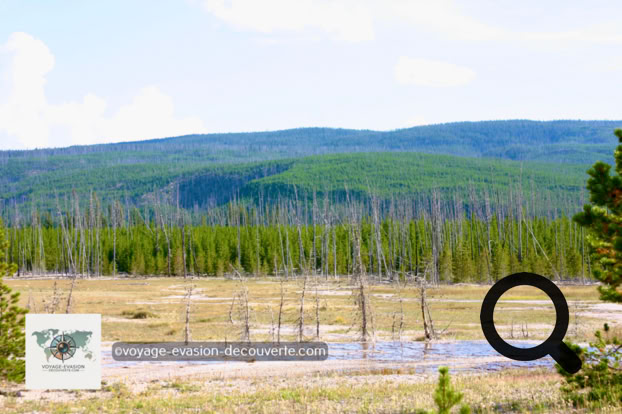 Le parc de Yellowstone est réparti sur plusieurs secteurs ; Old Faithfull Area, Black Sand Basin, Upper Geyser Basin, Midway Geyser Basin et Lower Geyser Basin. Dans tous ces secteurs, vous pourrez admirer la plus grande concentration des geysers au monde ainsi que de magnifiques bassins de couleurs différentes.