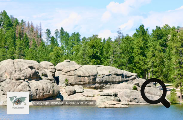 C’est le premier et le plus ancien des parcs du Dakota du Sud. Il est célèbre pour ses paysages, sa route panoramique dans ses superbes needles  “aiguilles ou pinacles“, et il permet une rencontre directe et inoubliable avec l’animal le plus mythique de l’Ouest : le bison (1 500 dans le parc). 