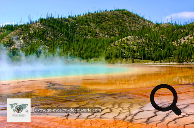 Ce secteur est connu pour avoir quelques une des plus grandes et belles piscines colorées naturelles du parc dont la plus connue : Grand Prismatic Spring.  