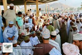Le marché aux bestiaux du vendredi à Nizwa