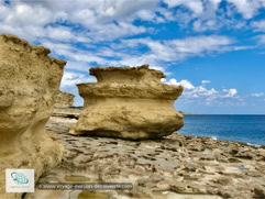 St. Peter's Pool sur l'île de Malte