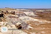 Painted Desert