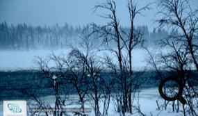 Le Parc National de Pallas Yllästunturi en Laponie