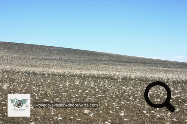 C’est un espace protégé au titre de monument national américain, situé sur la plaine du Snake, dans le centre de l'Idaho. Ce site contient trois grandes coulées de lave qui s'étendent le long du rift de l'Idaho. On peut y observer des moulages d'arbre brûlés : la lave en fusion entoure l'arbre, refroidit suffisamment vite pour imprimer les motifs de l'écorce mais assez pour ne pas carboniser l'arbre.