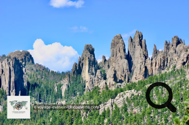 C’est le premier et le plus ancien des parcs du Dakota du Sud. Il est célèbre pour ses paysages, sa route panoramique dans ses superbes needles  “aiguilles ou pinacles“, et il permet une rencontre directe et inoubliable avec l’animal le plus mythique de l’Ouest : le bison (1 500 dans le parc). 