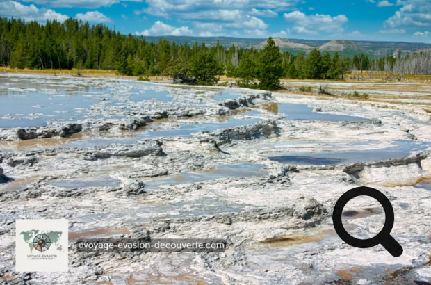 C’est une quatrième section où l’on peut découvrir des piscines et des geysers actifs.