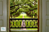 Oak Alley Plantation à la Nouvelle-Orléans