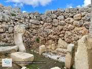 Ġgantija Temples sur l'île de Gozo