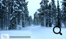 Le Parc National de Pallas Yllästunturi en Laponie