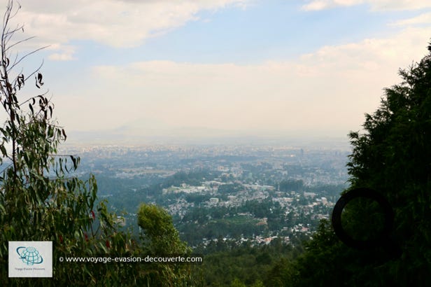 Il culmine à 3 200 mètres d'altitude et offre une vue panoramique sur Addis-Abeba. Un vrai coin de verdure à quelques minutes de la capitale, recouvert d'une vaste forêt d'eucalyptus plantés sous les règnes de Menelik II et d'Hayle Sellassé Ier.