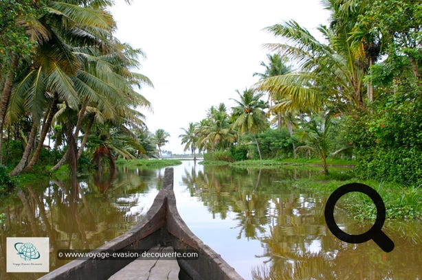 Nommée jusqu’en 1990 Alleppey, c’est la capitale incontestée de la croisière fluviale. Elle se trouve entre la mer des Laquedives et le lac Vembanad, et est adossée à un réseau de canaux de centaines de kilomètres, en plein cœur du Kerala.  Locaux et touristes accourent pour passer une nuit à bord d’anciennes barges à riz réaménagées en navires de luxe et s’émouvoir de la beauté des paysages. C’est un point de départ pour faire une petite croisière sur les backwaters, une série de lagunes et de lacs d'eau saumâtre parallèle à la mer d'Arabie, paysage typique de l'État du Kerala au sud de l'Inde.
