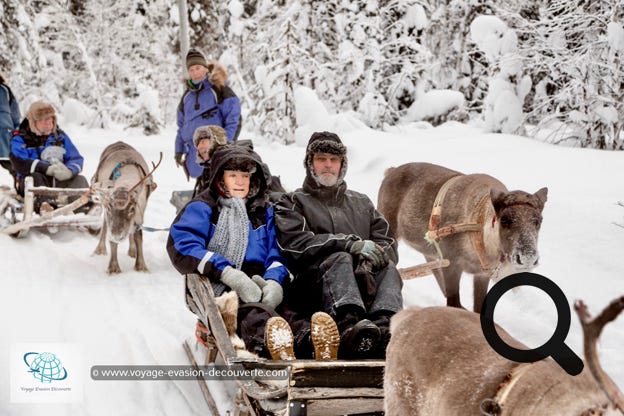 C'est un mode de transport ancestral en usage chez la population locale Saami. Le renne est une icône de la Laponie finlandaise. Le nombre de rennes dans la province du Nord équivaut à peu près à celui des habitants. Dans le nord de la Laponie, l’élevage de rennes est encore une source importante de revenus pour la grande majorité de la population autochtone.
