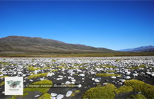 L’île de Disko au Groenland