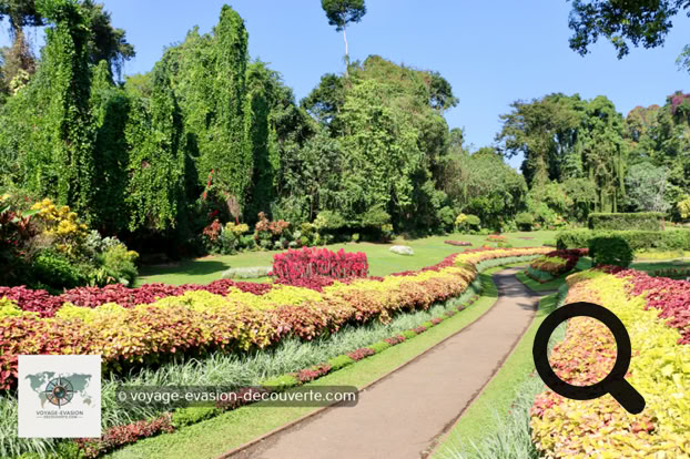 Situé dans une boucle de la rivière Mahaweli, le jardin est renommé pour son impressionnante collection d'orchidées. Il présente, en outre, un jardin d'épices et de plantes médicinales ainsi que de nombreux palmiers.
