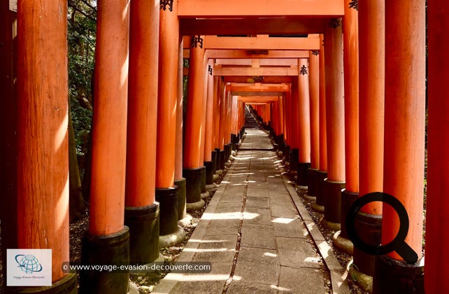 C’est le sanctuaire principal de la déesse Kami Inari et il est surtout connu pour ses milliers de toriis vermillon formant un chemin sur la colline sur laquelle le temple est construit.