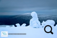 La Station de ski de Levi en Laponie