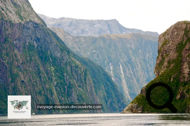 Milford Sound mérite bien son titre de lieu le plus incontournable de Nouvelle-Zélande. Cette expérience est à faire absolument, même si nous avons eu la malchance d’avoir un ciel très couvert, la contemplation de ces fjords est exceptionnelle. Les paysages y sont splendides et réellement bluffants.