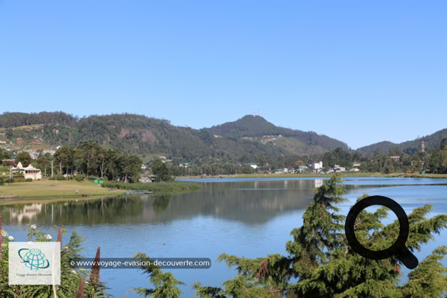 C'est la petite Suisse du Sri Lanka et surtout le verger de l'île, où potagers croissent en abondance, et où les vigoureux arbres fruitiers  croulent sous le poids des fruits. Plus au Sud, dans les prairies d'altitude paissent des troupeaux de vache. Tout ça, dans un paysage de montagne, de hauts plateaux, de lac et de ruisseaux. Avec le bon air et l'eau en abondance, dans la région, c'est le vert qui prédomine...