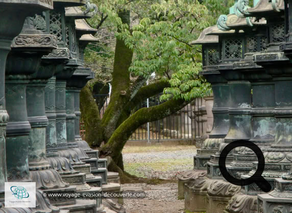 C’est un grand parc public situé dans le quartier d'Ueno dans le centre de Tōkyō.  Le parc est immense, on y trouve quatre musées, une salle de concert, un zoo, le bassin Shinobazu avec son sanctuaire et le temple Tōshōgū. Ce parc est un lieu apprécié par les Tokyoïtes, les touristes japonais et les étrangers. Un vrai havre de paix dans cette ville gigantesque.   En fin de journée nous sommes retournés dans le quartier de Shibuya pour profiter de l’ambiance nocturne.
