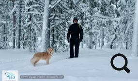 Parc National de Pallas Yllästunturi en Laponie