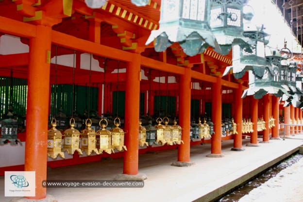 C’est l’un des plus célèbres sanctuaires shintô du pays. Nous avons beaucoup apprécié la balade ombragée, le calme retrouvé après la visite du Tōdai-ji et l’aura mystérieuse de toutes ces lanternes recouvertes de mousse, particulièrement avec les lumières dorées de fin de journée.