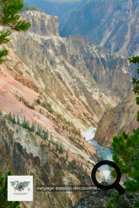 Le Grand Canyon de Yellowstone est le premier grand canyon sur la rivière Yellowstone en aval de Yellowstone Falls dans le parc national de Yellowstone au Wyoming. Le canyon mesure environ 39 km de long, entre 240 et 370 mètres de profondeur et de 400 mètres jusqu'à 1 200 mètres de large.
