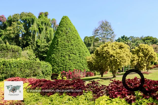 Situé dans une boucle de la rivière Mahaweli, le jardin est renommé pour son impressionnante collection d'orchidées. Il présente, en outre, un jardin d'épices et de plantes médicinales ainsi que de nombreux palmiers.