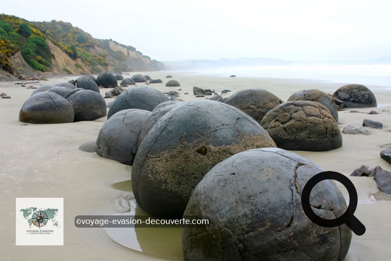 Ce sont des rochers sphériques exceptionnellement grands situés le long d'un tronçon de la Koekohe Beach dans la baie d'Otago, entre Moeraki et Hampden.