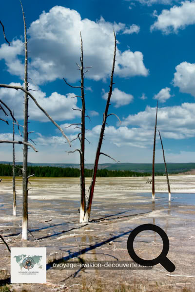 C’est une quatrième section où l’on peut découvrir des piscines et des geysers actifs.