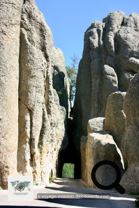 La route Needles serpente à travers des paysages spectaculaires des Black Hills. Ce tronçon de route de 22 km a été achevé en 1922. Le paysage est parsemé de pinacles rocheux de granit d'un autre monde. 