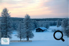 La Laponie en hiver