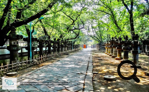 C’est un grand parc public situé dans le quartier d'Ueno dans le centre de Tōkyō.  Le parc est immense, on y trouve quatre musées, une salle de concert, un zoo, le bassin Shinobazu avec son sanctuaire et le temple Tōshōgū. Ce parc est un lieu apprécié par les Tokyoïtes, les touristes japonais et les étrangers. Un vrai havre de paix dans cette ville gigantesque.   En fin de journée nous sommes retournés dans le quartier de Shibuya pour profiter de l’ambiance nocturne.
