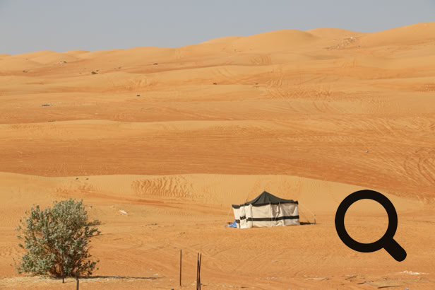 C'est à ce moment-là que j'ai réalisé quelque chose qui m'avait complètement échappé en conduisant : partout autour de nous, il y avait des détritus. Des sacs plastique emportés par le vent, des bouteilles abandonnées, des canettes, des restes de pique-nique… une multitude de déchets éparpillés entre les dunes.