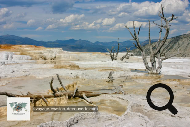 Ce site gigantesque est en fait une grande formation de travertin, formé pendant plusieurs milliers d'années par les eaux chaudes du Yellowstone, ayant coulé et ayant déposé du carbonate de calcium. Plus de deux tonnes d'eau chaudes coulent des Mammoth Hot Springs chaque jour.