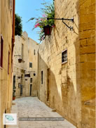 Ville de Mdina sur l'île de Malte