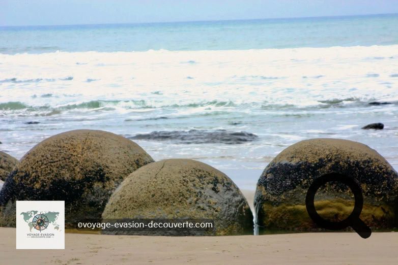 Ce sont des rochers sphériques exceptionnellement grands situés le long d'un tronçon de la Koekohe Beach dans la baie d'Otago, entre Moeraki et Hampden.
