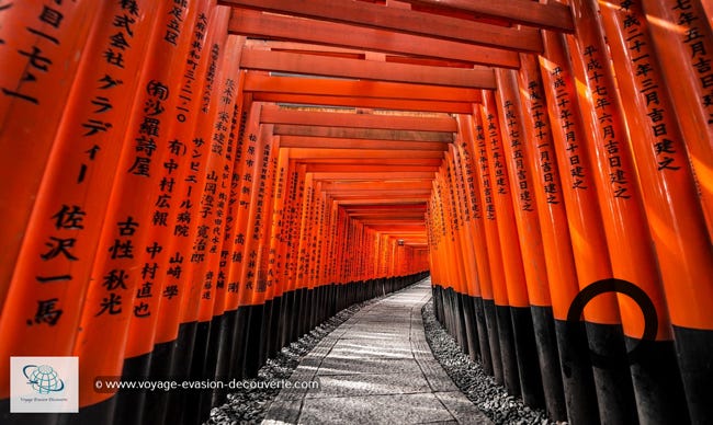 C’est le sanctuaire principal de la déesse Kami Inari et il est surtout connu pour ses milliers de toriis vermillon formant un chemin sur la colline sur laquelle le temple est construit.