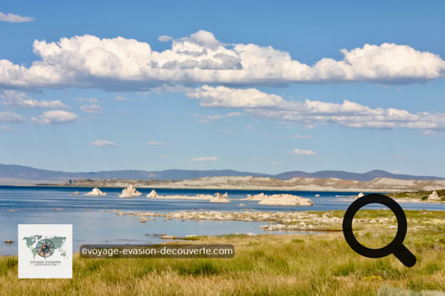 Situé à environ 13 km à l’est du parc du Yosemite, près de la ville de Lee Vining. Ce lac salé au milieu d'une vaste et ancienne caldeira est un écosystème original et inhabituellement productif. Ses 25 km de berges et 180 km² d'étendue d'eau servent d’habitat, de lieu de reproduction et de gué pour beaucoup d’espèces d’oiseaux sédentaires ou migrateurs. Mono Lake est célèbre pour la concrétion atypique d'argiles cimentées à la chaux hydraulique appelée tufa, qui, sous forme de tours, se montre surtout sur les rives méridionales du lac.
