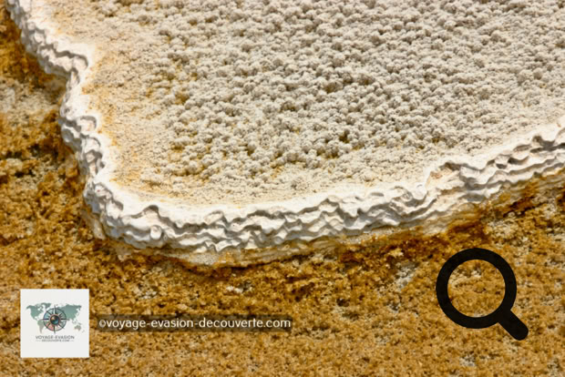 Cette série de bassins naturels de calcaire en escalier, allant du blanc crémeux au rouille en passant par le beige, est vraiment étonnante. On a l’impression d’un artiste a sculpté ce flanc de montagne pour composer cette extraordinaire série de bassins.