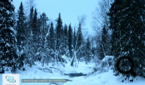 Le Parc National de Pallas Yllästunturi en Laponie