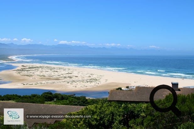 Surnommée Plet, cette station balnéaire est située sur la Garden Route à 210 km à l’Ouest de Port Elizabeth dans la province du Cap. 