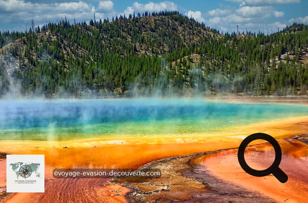 Ce secteur est connu pour avoir quelques une des plus grandes et belles piscines colorées naturelles du parc dont la plus connue : Grand Prismatic Spring.  