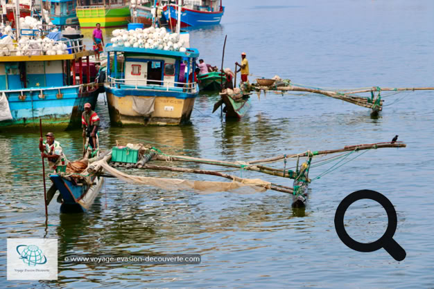 Située sur la côte Ouest du Sri Lanka, à environ 40 km au Nord de la capitale, Colombo. Près du front de mer, les vestiges d'un fort néerlandais du XVIIe siècle servent aujourd'hui de prison. La lagune de Negombo, bordée de cabanes de pêcheurs, alimente le canal Hamilton, datant de l'époque hollandaise.