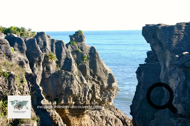 À Punakaiki face à la mer de Tasman se trouvent des formations géologiques étonnantes. C’est tout simplement superbe. Le littoral revêt l’extraordinaire apparence d’une série de millefeuilles pétrifiés. Des couches successives de calcaire érodé ont fini par former ces “Pancake Rocks“.